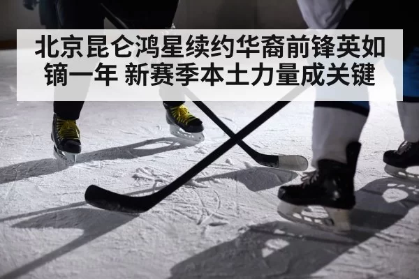 ice hockey player action